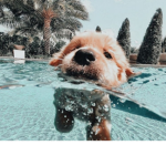 Summer..vxbes