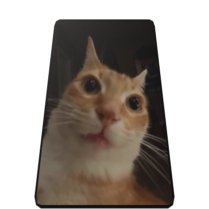 Orange Cat Cape Roblox item