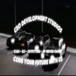 CEO Development Team
