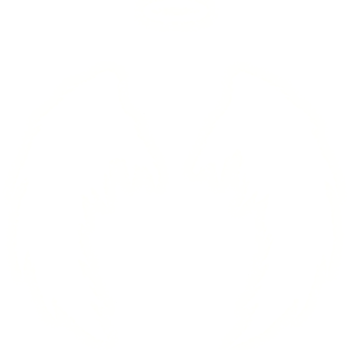 Glowing White Wings Angel Halo (Emissive)