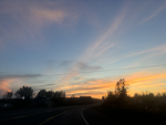 Wolf Pack Production