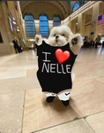 Nelle_snuggles group!