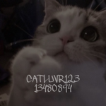 catluvr123