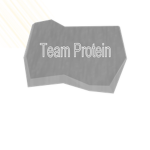 Team Protein