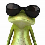 Frogs :))