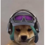 Doggofree