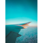Jiji_2090