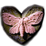 faerie soireé