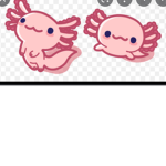 Axolotl sisters fan group