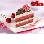 the republic of cake