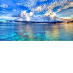Ocean Warrior Tounament ( Group )