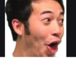 The real real pogchamps