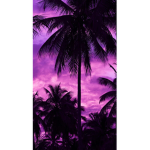 kawai//world//