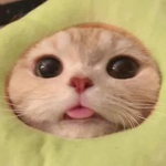 친분있는 사람이나 이벤트에서 뽑힌 사람들만 로벅스줘요