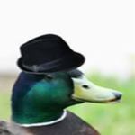 Totally Legit Duck Group