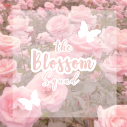 Blossom squad :D's Place Number: 2