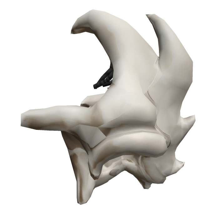 Draedon "Canonical" Style Back
