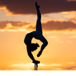 Gymnastics Life.