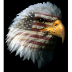 Constitutional Firearms®
