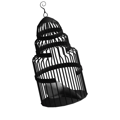 ⁓♪  no. 65 Roblox item