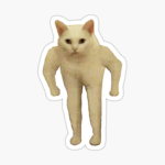 SUPER BOB CATS