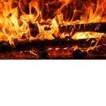The Golden Embers