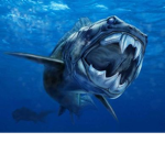 SHARK SIMULATOR