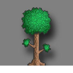 #Terraria Forever