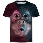 TheShadowMonkeyKing