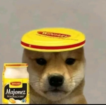 Koxy koxia