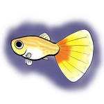 Fish Egg’s Guppy Squad