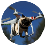 DogDrone Fan Club