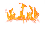 Coralr