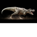 Grupo dos Dinos Carnivoros