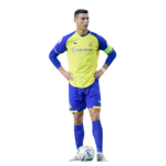 [TFA] - The Football Association