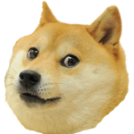 doge for life XD
