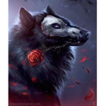 Wolf boi