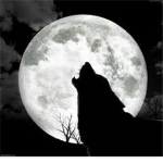 The Wolves of Aniphoriethia