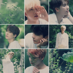 *Bangtan Army*