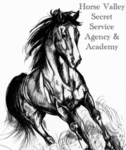 Horse Valley Secret Service Agents & Academy