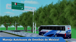 (English) Buses of Autobuses de Oriente 🇲🇽