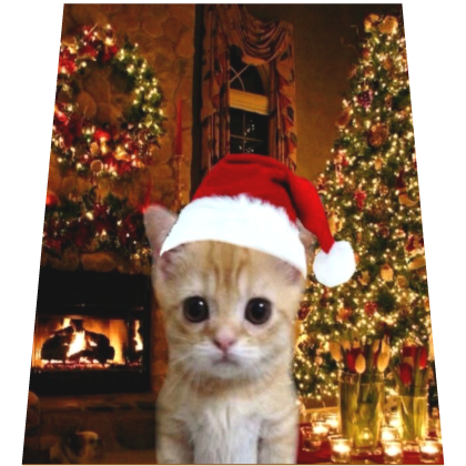 El Gato Christmas Cape