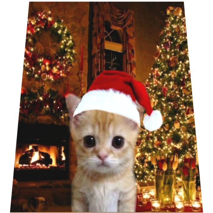 El Gato Christmas Cape