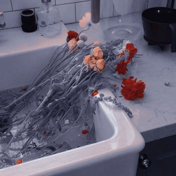 my