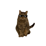 Potato_.