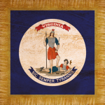 {ANV} 1st Virginia Infantry Regiment