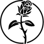 (Icarus) Black Rose