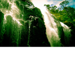 GO_Green