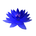 Blue Flower
