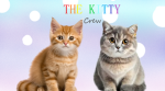 The Kitty Crew :)